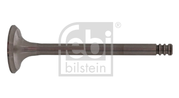 Exhaust Valve